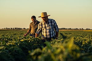 Workers’ Compensation for Homestead Agricultural and Farm Workers