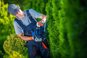 Landscaping Worker Injuries